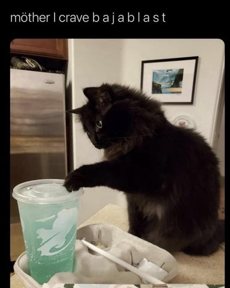 möther I crave b ajablast