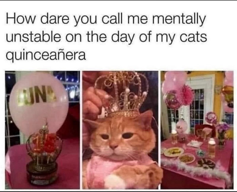 How dare you call me mentally unstable on the day of my cats. quinceañera UN Markost