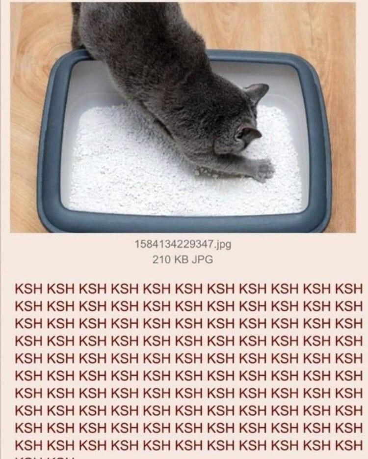 1584134229347.jpg 210 KB JPG KSH KSH KSH KSH KSH KSH KSH KSH KSH KSH KSH KSH KSH KSH KSH KSH KSH KSH KSH KSH KSH KSH KSH KSH KSH KSH KSH KSH KSH KSH KSH KSH KSH KSH KSH KSH KSH KSH KSH KSH KSH KSH KSH KSH KSH KSH KSH KSH KSH KSH KSH KSH KSH KSH KSH KSH KSH KSH KSH KSH KSH KSH KSH KSH KSH KSH KSH KSH KSH KSH KSH KSH KSH KSH KSH KSH KSH KSH KSH KSH KSH KSH KSH KSH KSH KSH KSH KSH KSH KSH KSH KSH KSH KSH KSH KSH KSH KSH KSH KSH KSH KSH KSH KSH KSH KSH KSH KSH KSH KSH