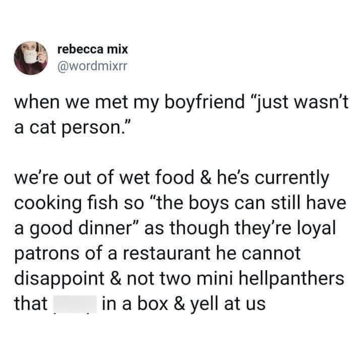 rebecca mix @wordmixrr when we met my boyfriend "just wasn't a cat person." we're out of wet food & he's currently cooking fish so "the boys can still have a good dinner" as though they're loyal patrons of a restaurant he cannot disappoint & not two mini hellpanthers in a box & yell at us that