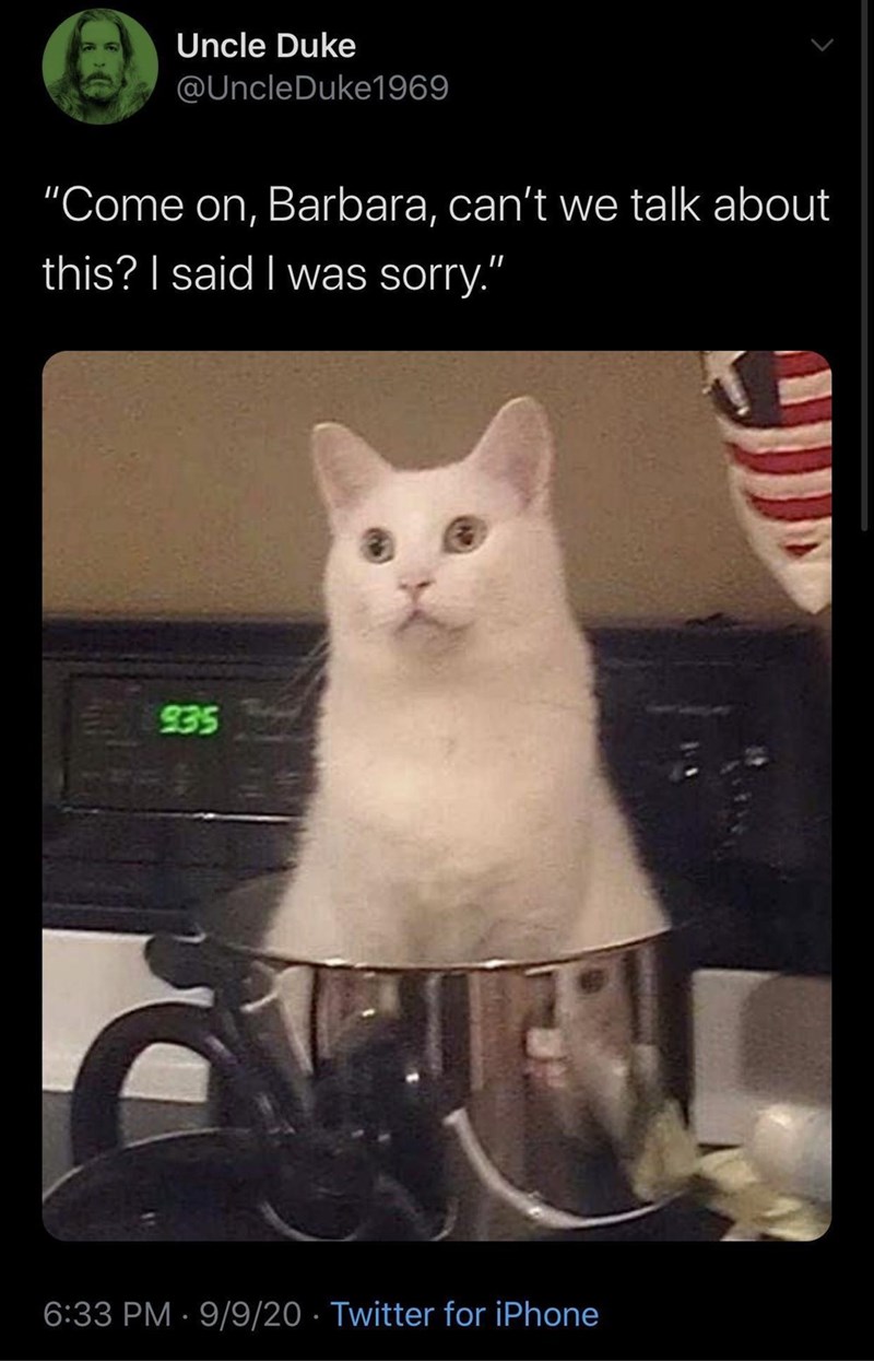 Uncle Duke @UncleDuke1969 "Come on, Barbara, can't we talk about this? I said I was sorry." 235 6:33 PM 9/9/20 Twitter for iPhone