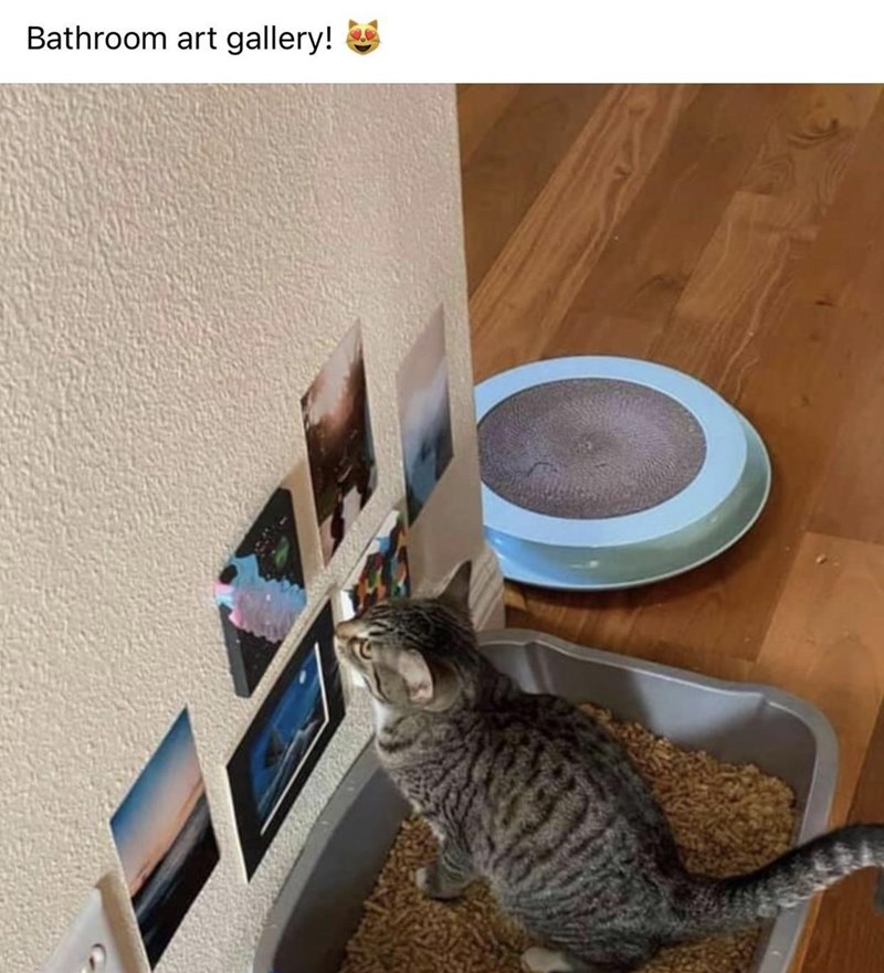 Bathroom art gallery!