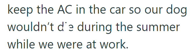 keep the AC in the car so our dog wouldn't d'e during the summer while we were at work.