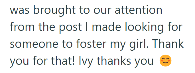 was brought to our attention from the post I made looking for someone to foster my girl. Thank you for that! Ivy thanks you