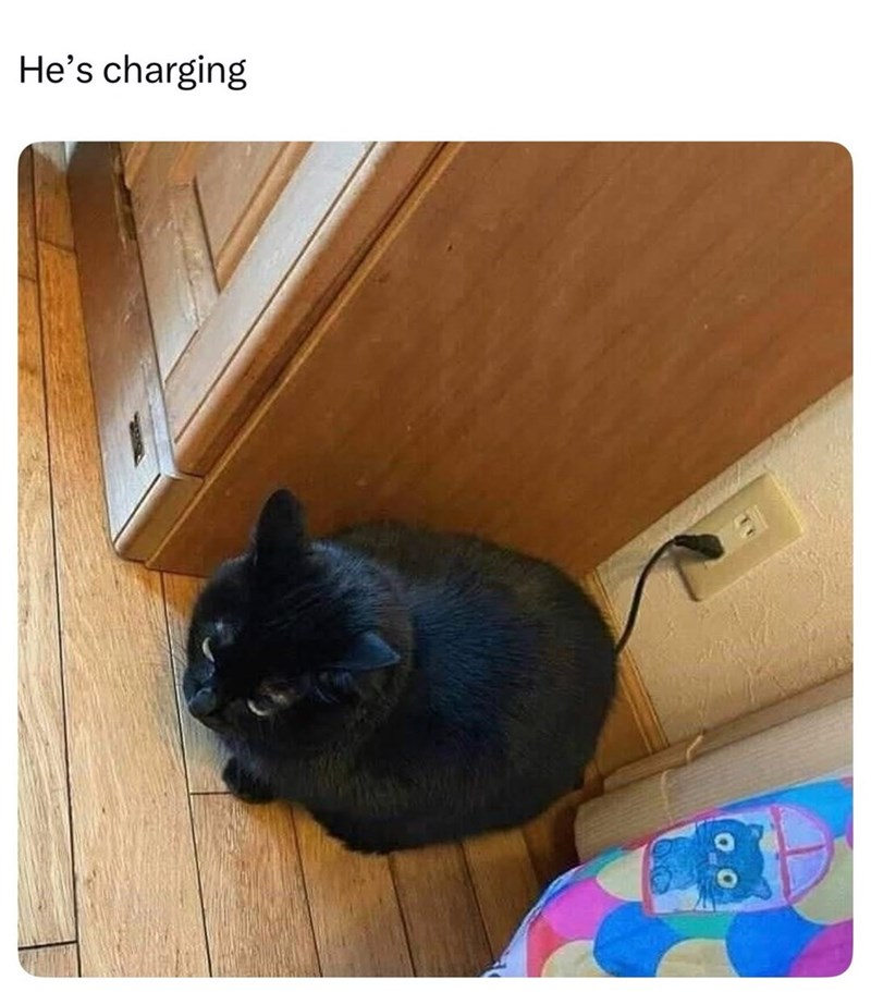 He's charging