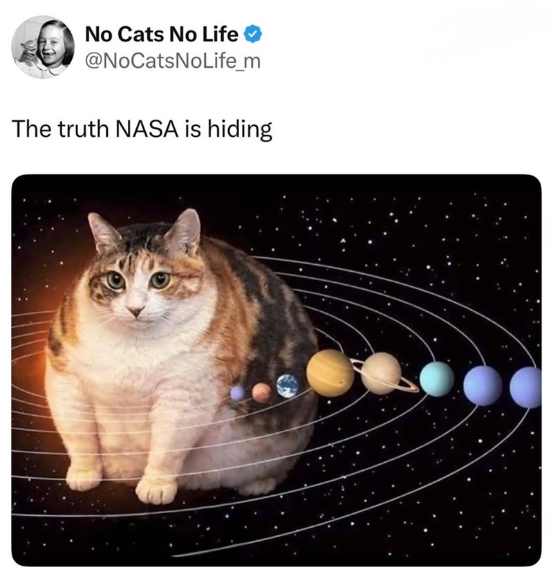 No Cats No Life @NoCatsNoLife_m The truth NASA is hiding