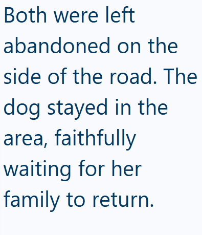 Both were left abandoned on the side of the road. The dog stayed in the area, faithfully waiting for her family to return.