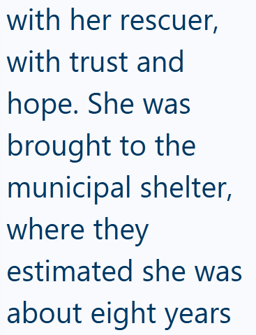 with her rescuer, with trust and hope. She was brought to the municipal shelter, where they estimated she was about eight years
