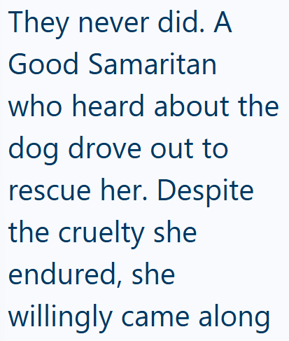 They never did. A Good Samaritan who heard about the dog drove out to rescue her. Despite the cruelty she endured, she willingly came along