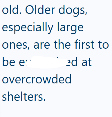 old. Older dogs, especially large ones, are the first to be e ed at overcrowded shelters.