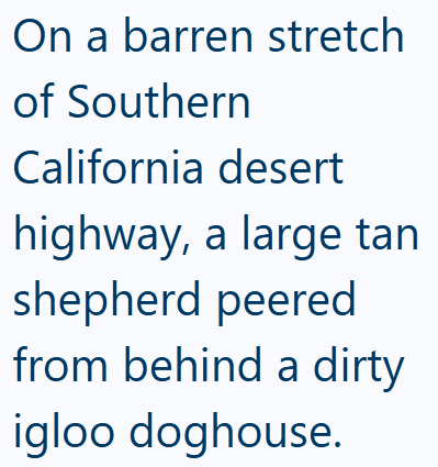 On a barren stretch of Southern California desert highway, a large tan shepherd peered from behind a dirty igloo doghouse.