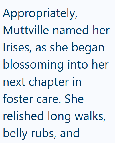 Appropriately, Muttville named her Irises, as she began blossoming into her next chapter in foster care. She relished long walks, belly rubs, and