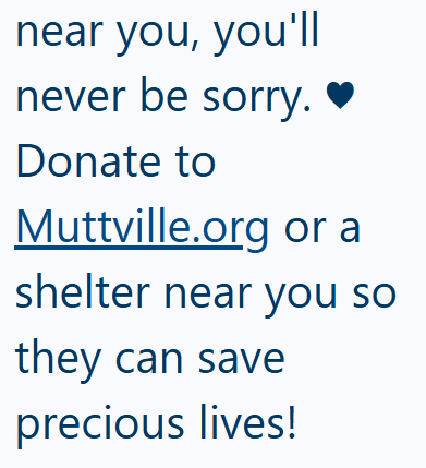 near you, you'll never be sorry. Donate to Muttville.org or a shelter near you so they can save precious lives!