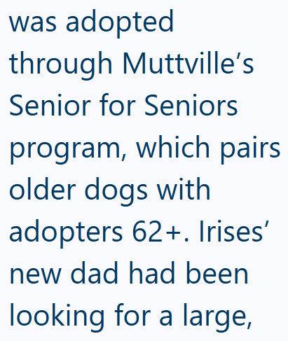 was adopted through Muttville's Senior for Seniors program, which pairs older dogs with adopters 62+. Irises' new dad had been looking for a large,