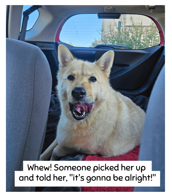 Whew! Someone picked her up and told her, "it's gonna be alright!"