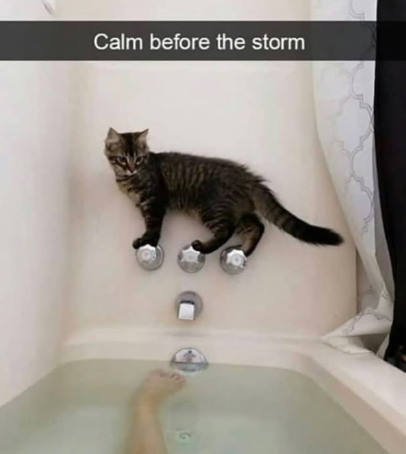 Calm before the storm