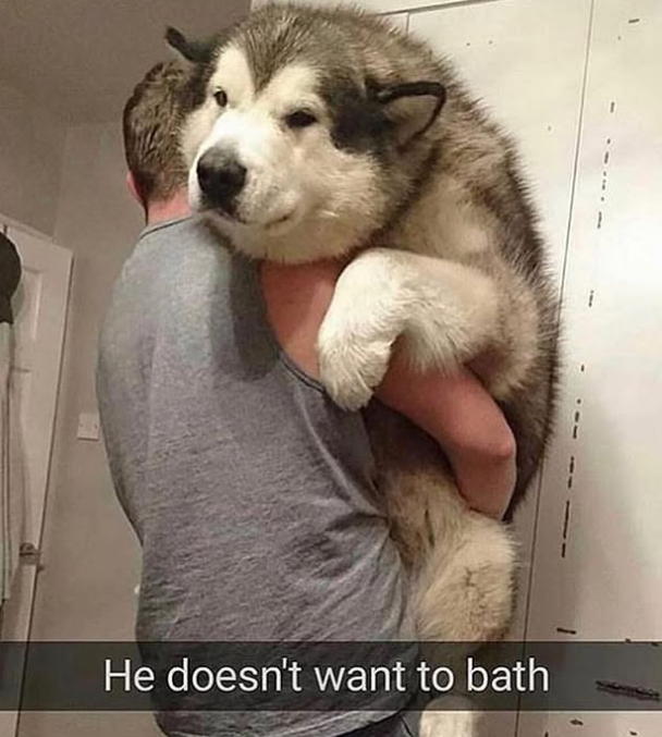 He doesn't want to bath