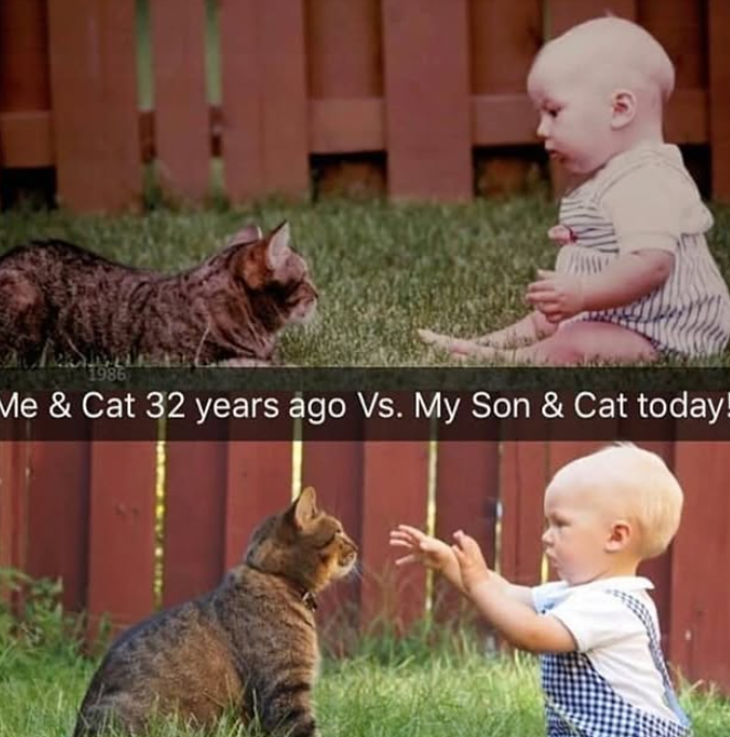 1986 Me & Cat 32 years ago Vs. My Son & Cat today!