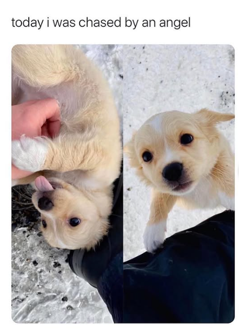 today i was chased by an angel