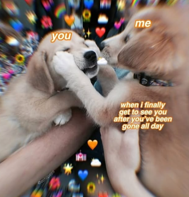 Gechlipses you me when i finally get to see you after you've been gone all day