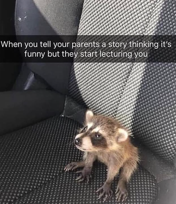 When you tell your parents a story thinking it's funny but they start lecturing you