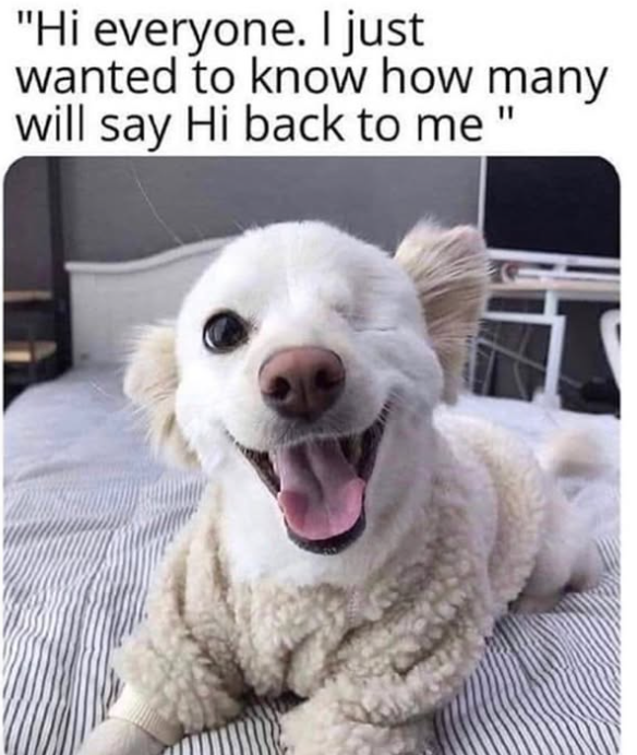 "Hi everyone. I just wanted to know how many will say Hi back to me 11