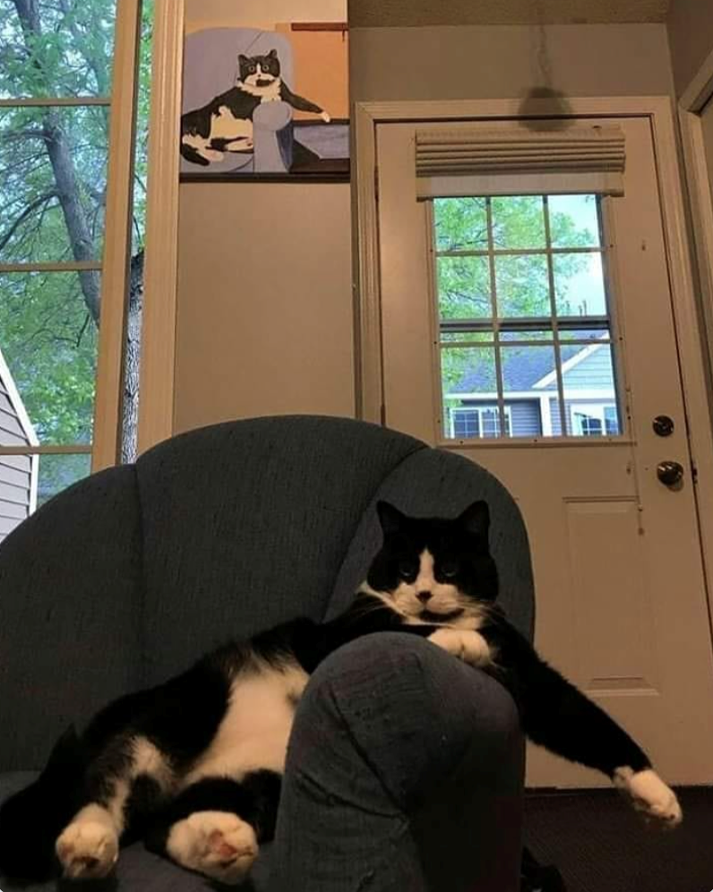 Cheezburger Image 10619624192