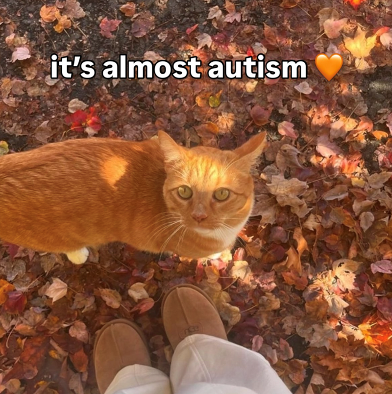 it's almost autism nce