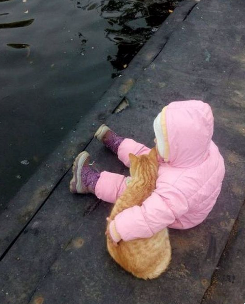 Cheezburger Image 10619624704