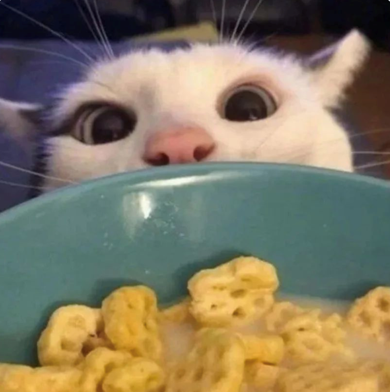 Cheezburger Image 10619626752