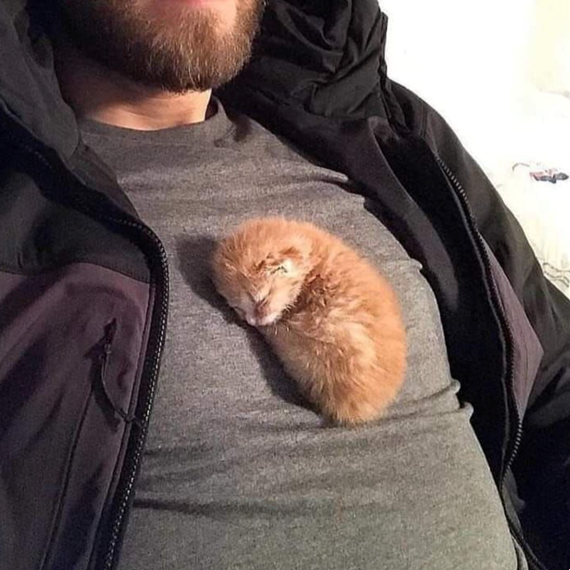 Cheezburger Image 10619627520