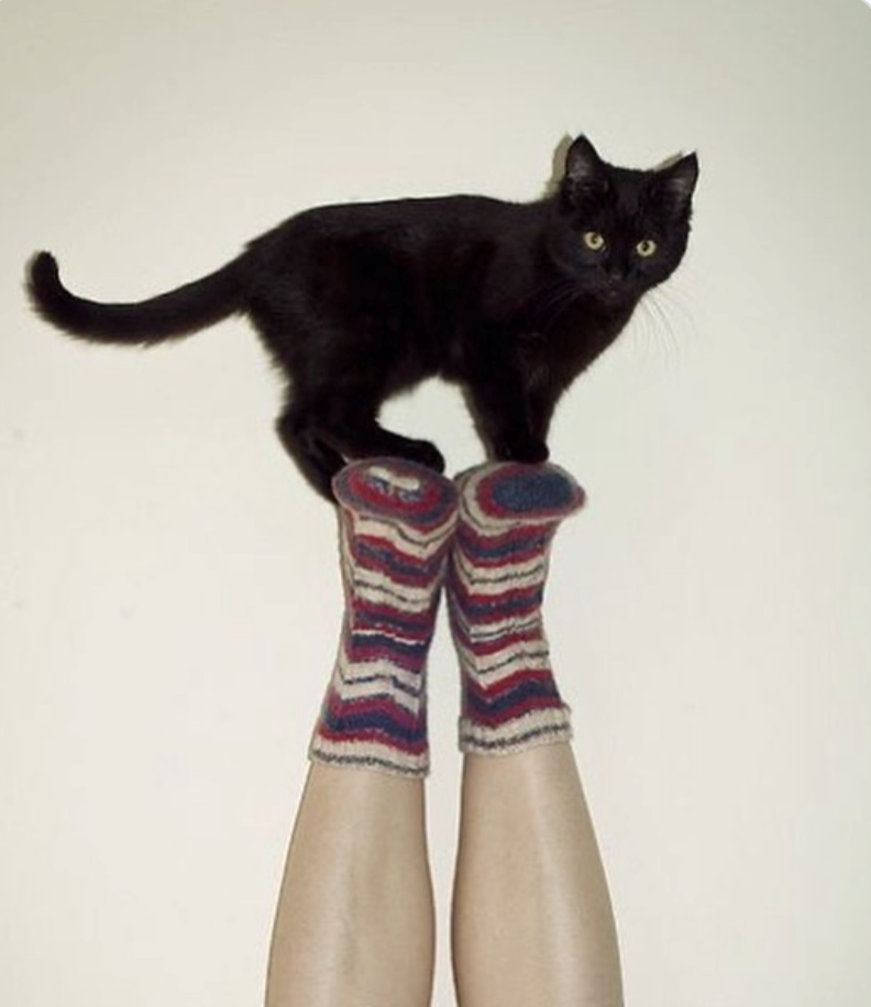 Cheezburger Image 10619628032