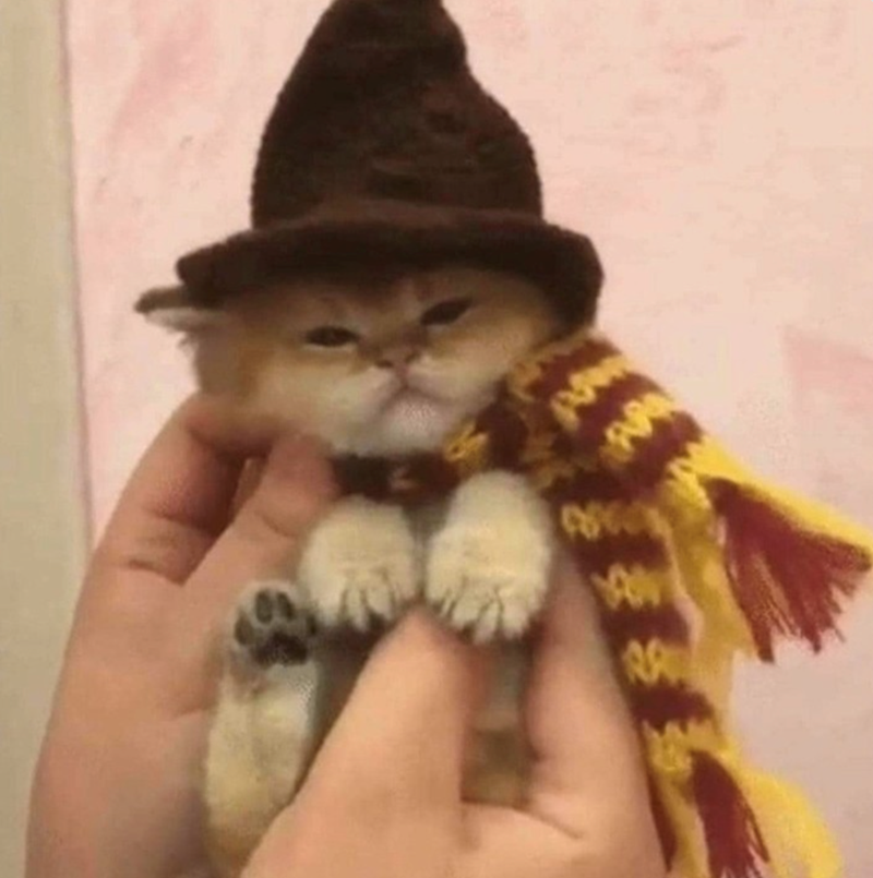 Cheezburger Image 10619629568