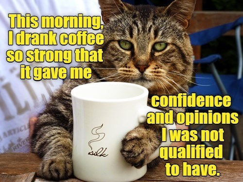 Cheezburger Image 10619631104