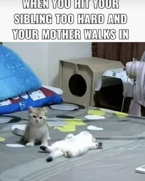 WHEN YOU HIT YOUR SIBLING TOO HARD AND YOUR MOTHER WALKS IN