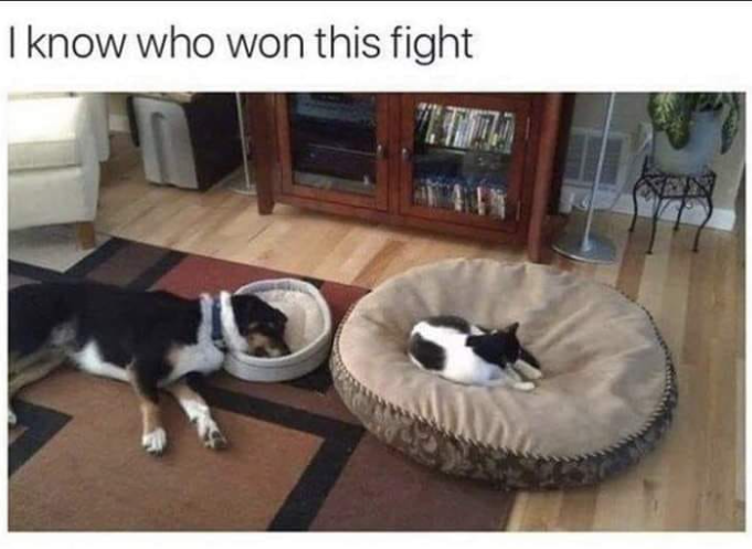 I know who won this fight