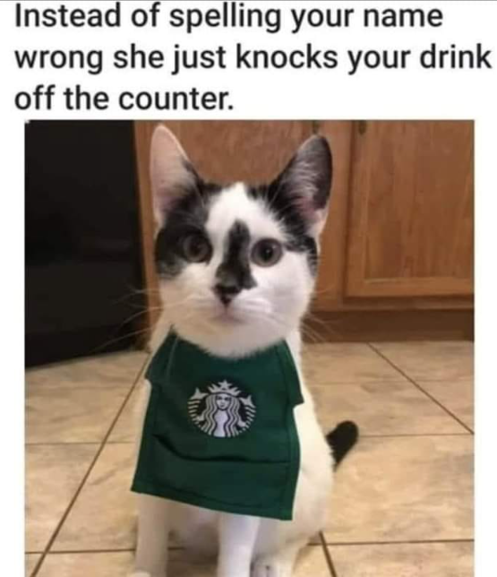 Instead of spelling your name wrong she just knocks your drink off the counter.