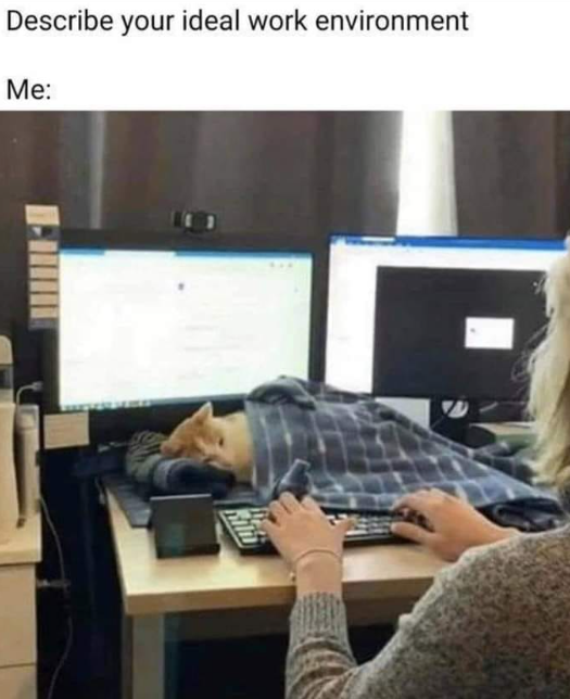 Describe your ideal work environment Me: