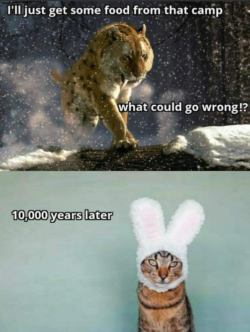 I'll just get some food from that camp 10,000 years later what could go wrong!?