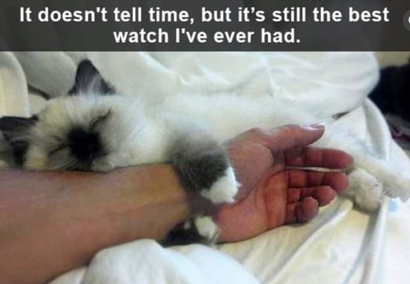 It doesn't tell time, but it's still the best watch I've ever had.