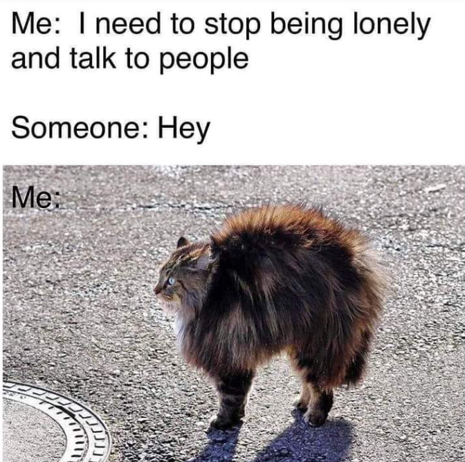 Me: I need to stop being lonely and talk to people Someone: Hey Me: