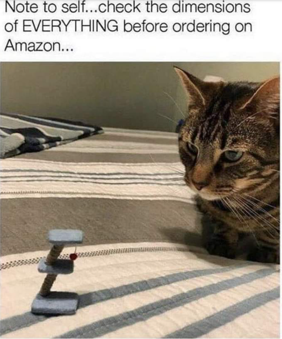 Note to self...check the dimensions of EVERYTHING before ordering on Amazon...