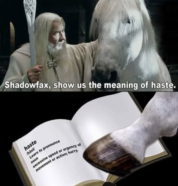 Shadowfax, show us the meaning of haste. haste Thȧst/ Learn to pronounce noun excessive speed or urgency of movement or action; hurry.