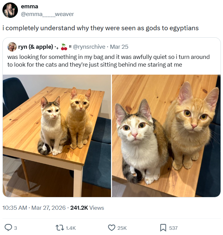 emma @emma_ weaver i completely understand why they were seen as gods to egyptians ryn (& apple) + "@rynsrchive Mar 25 was looking for something in my bag and it was awfully quiet so i turn around to look for the cats and they're just sitting behind me staring at me . 10:35 AM · Mar 27, 2026 241.2K Views 3 1.4K 25K 537
