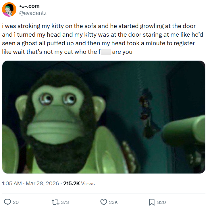 •-.com @evadentz i was stroking my kitty on the sofa and he started growling at the door and i turned my head and my kitty was at the door staring at me like he'd seen a ghost all puffed up and then my head took a minute to register like wait that's not my cat who the f are you 1:05 AM · Mar 28, 2026 215.2K Views 20 1373 23K 820