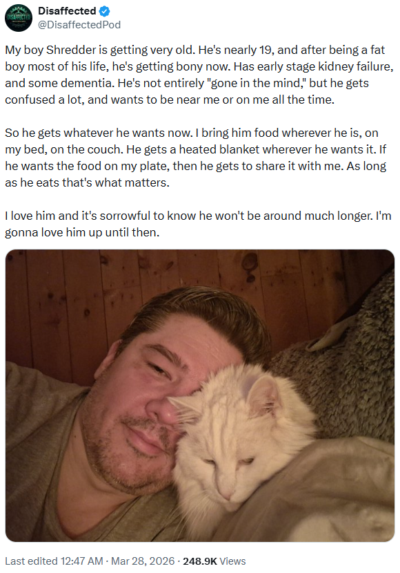 SAFFECTED Disaffected @DisaffectedPod My boy Shredder is getting very old. He's nearly 19, and after being a fat boy most of his life, he's getting bony now. Has early stage kidney failure, and some dementia. He's not entirely "gone in the mind," but he gets confused a lot, and wants to be near me or on me all the time. So he gets whatever he wants now. I bring him food wherever he is, on my bed, on the couch. He gets a heated blanket wherever he wants it. If he wants the food on my plate, then