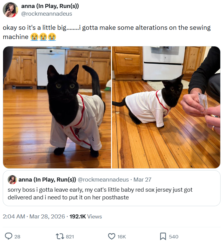 anna (In Play, Run(s)) @rockmeannadeus okay so it's a little big.........i gotta make some alterations on the sewing machine a anna (In Play, Run(s)) @rockmeannadeus Mar 27 sorry boss i gotta leave early, my cat's little baby red sox jersey just got delivered and i need to put it on her posthaste 2:04 AM · Mar 28, 2026 192.1K Views 28 821 16K 540