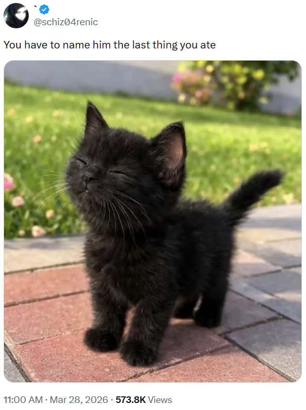 @schiz04renic You have to name him the last thing you ate 11:00 AM · Mar 28, 2026 573.8K Views