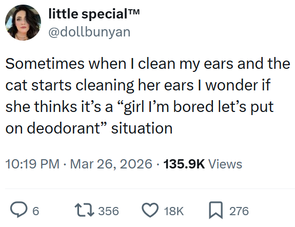 little special™ @dollbunyan Sometimes when I clean my ears and the cat starts cleaning her ears I wonder if she thinks it's a “girl I'm bored let's put on deodorant" situation 10:19 PM · Mar 26, 2026 135.9K Views 6 17356 18K ☐ 276