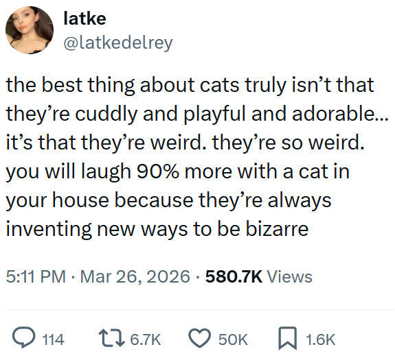 latke @latkedelrey the best thing about cats truly isn't that they're cuddly and playful and adorable... it's that they're weird. they're so weird. you will laugh 90% more with a cat in your house because they're always inventing new ways to be bizarre 5:11 PM Mar 26, 2026 580.7K Views Q114 16.7K 50K ☐ 1.6K